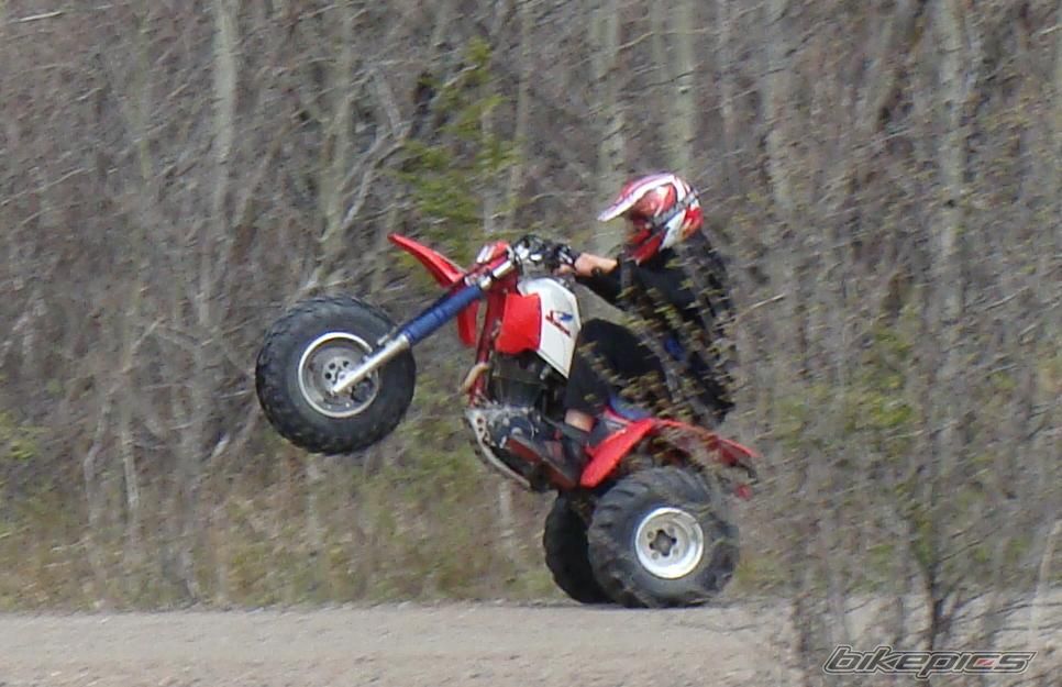 1985 HONDA ATC 350 | Picture 1715974 motorcycle photo