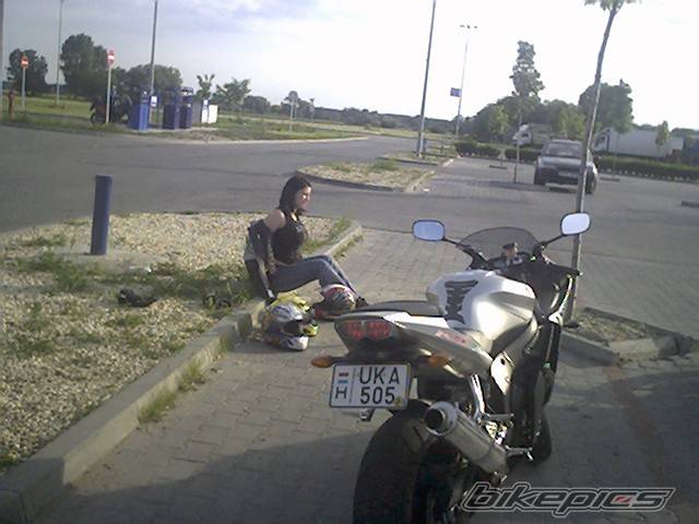 2004 YAMAHA YZF R6 | Picture 171609 motorcycle photo
