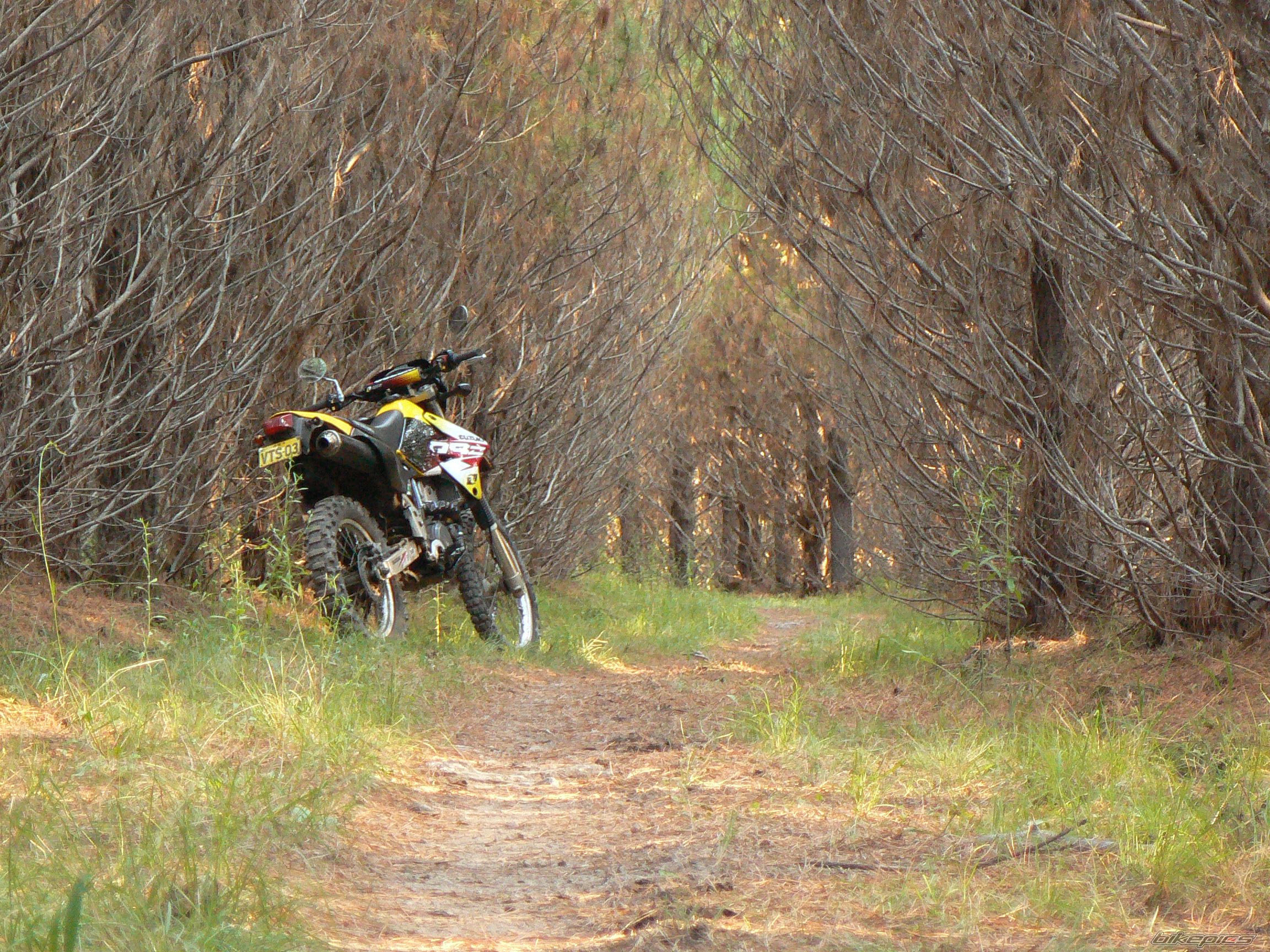 2000 SUZUKI DRZ 400 | Picture 1717772 motorcycle photo