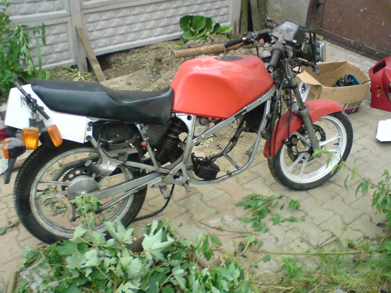 1990 SUZUKI RG 80 | Picture 1717929 motorcycle photo