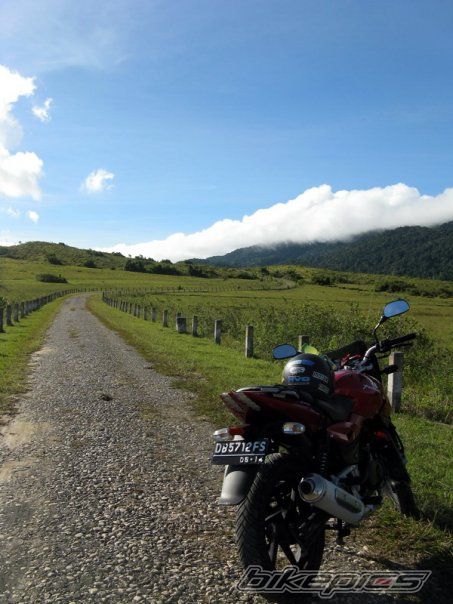2009 BAJAJ PULSAR 180 | Picture 1717976 motorcycle photo