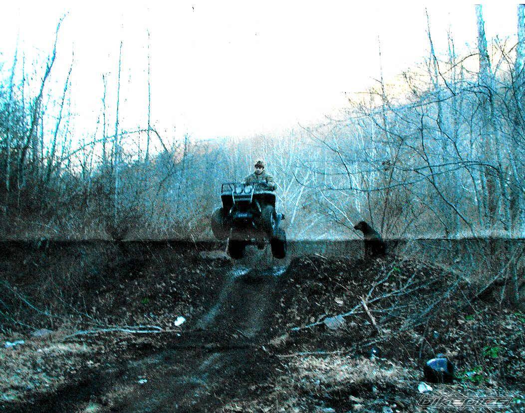 2001 YAMAHA WOLVERINE | Picture 17181 motorcycle photo