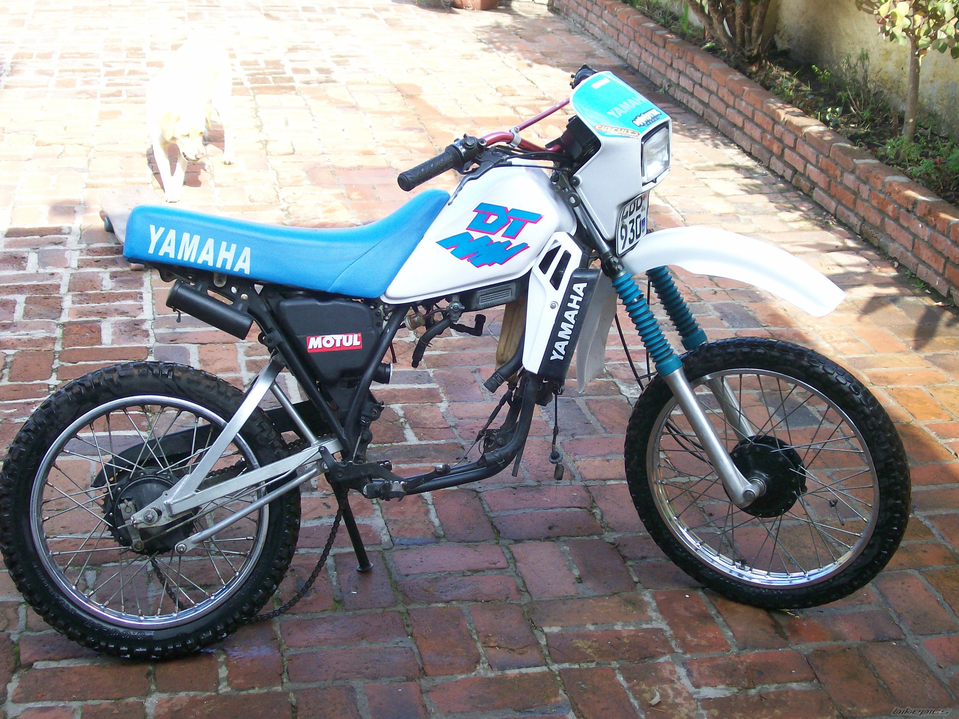 1996 YAMAHA DT 50 | Picture 1718153 motorcycle photo