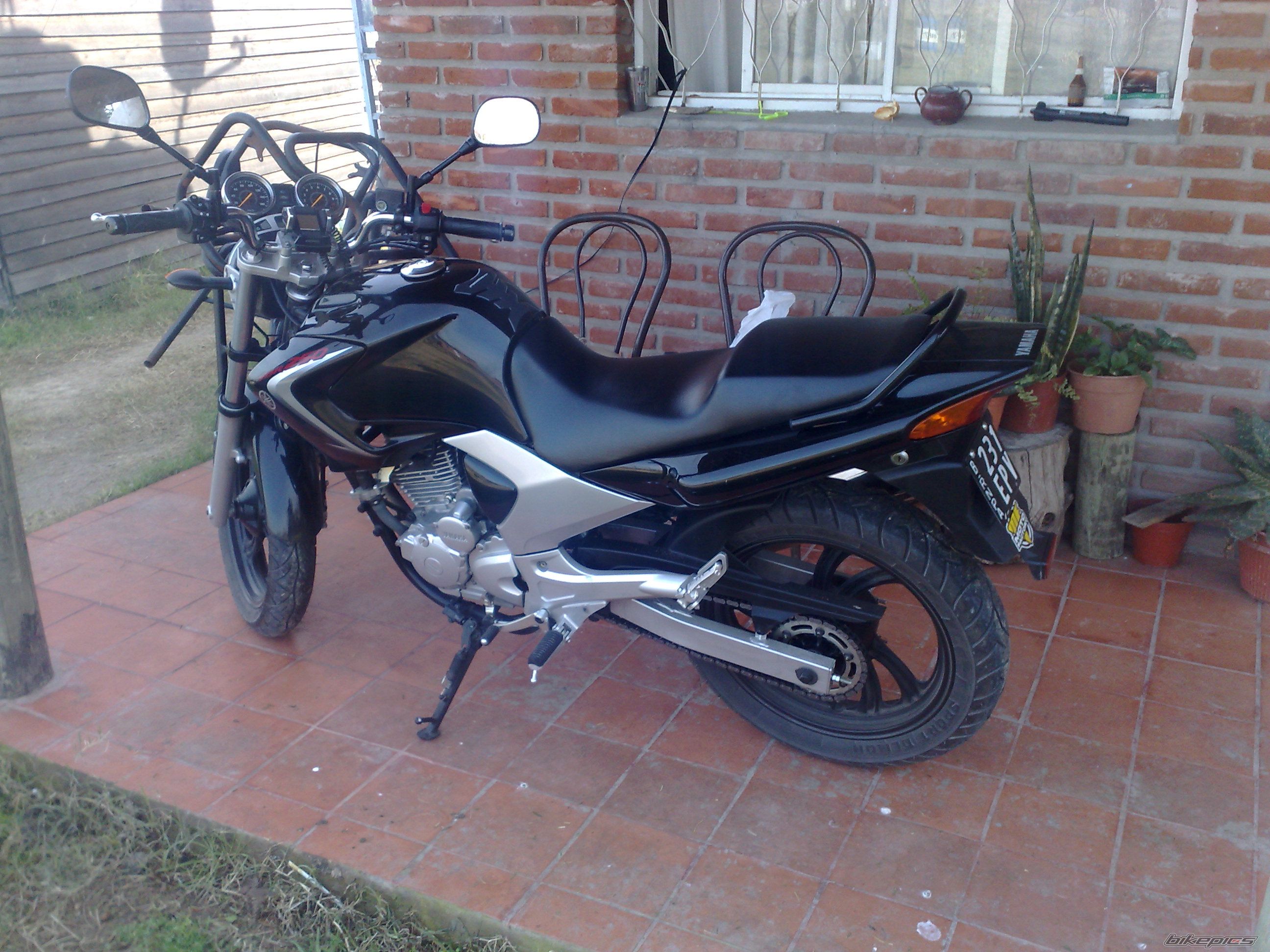 2008 YAMAHA FAZER 250 | Picture 1719087 motorcycle photo
