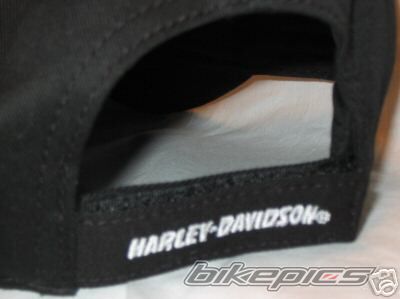 2004 HARLEY DAVIDSON XL 883C | Picture 1719146 motorcycle photo