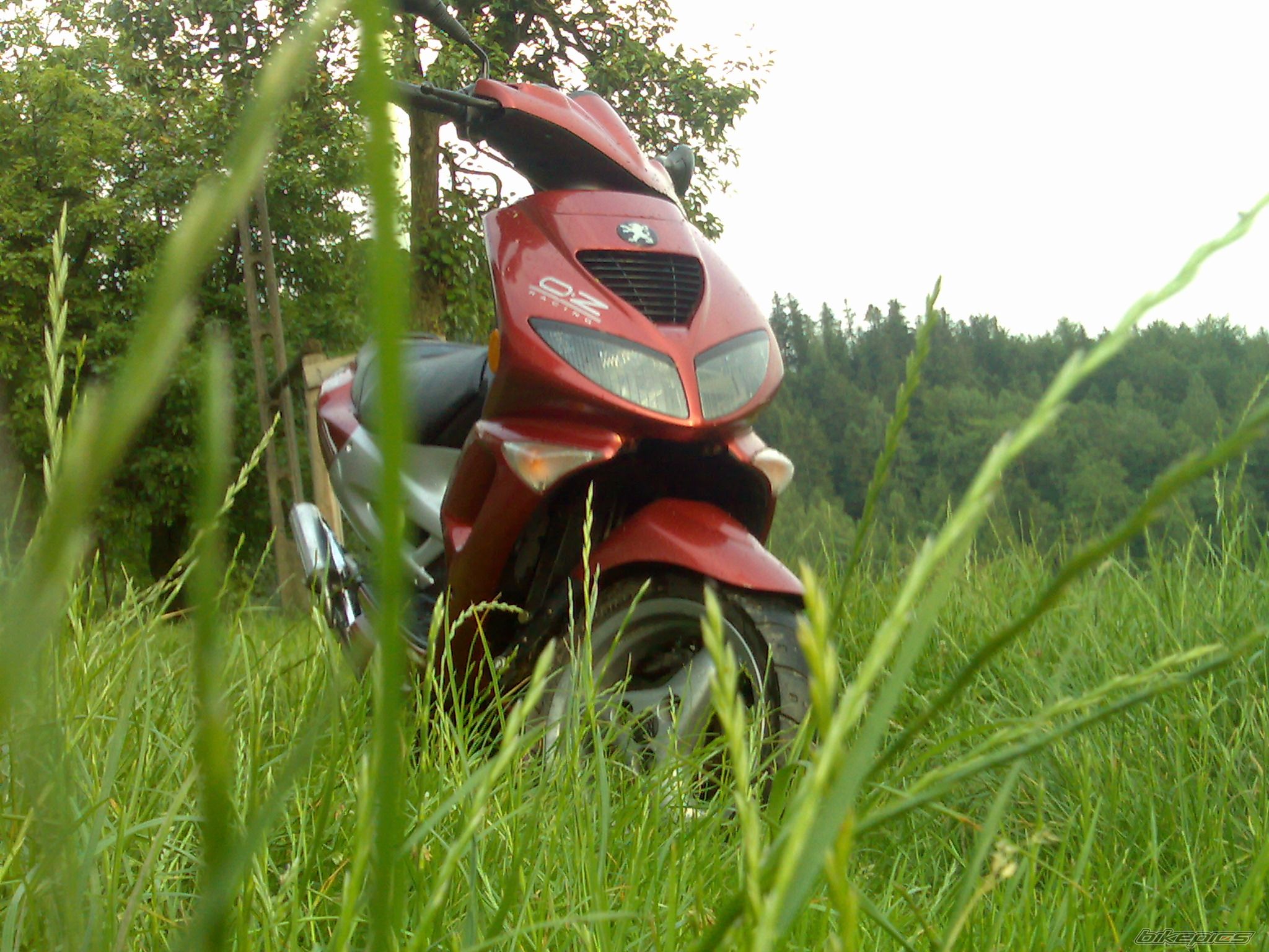 1997 PEUGEOT SPEEDFIGHT | Picture 1719219 motorcycle photo