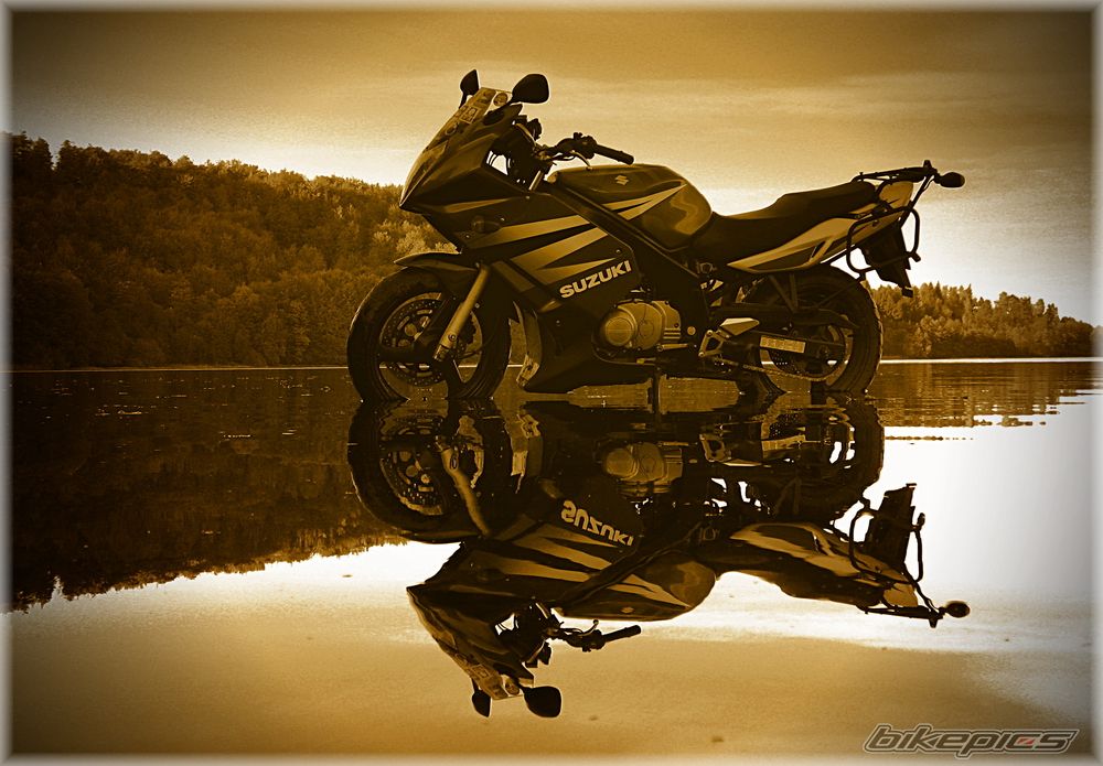 2004 SUZUKI GS 500 | Picture 1719439 motorcycle photo