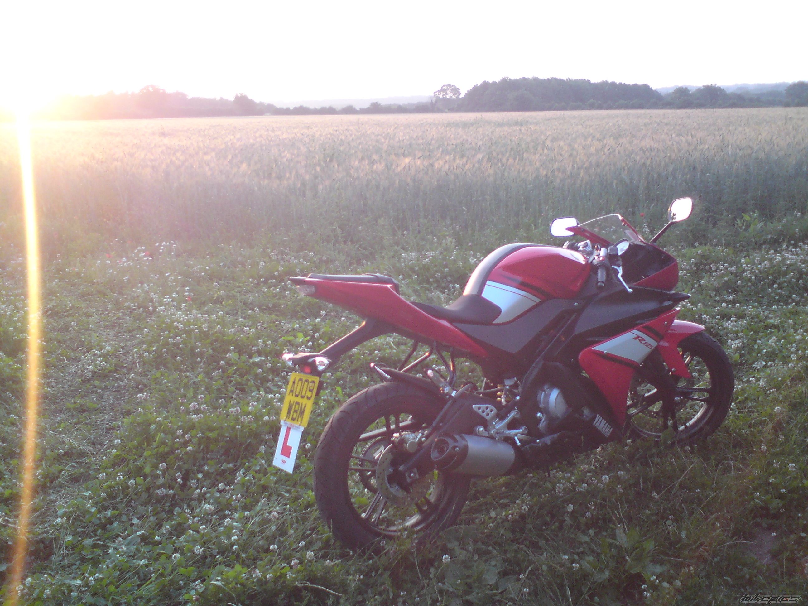2009 YAMAHA YZF R125 | Picture 1719492 motorcycle photo