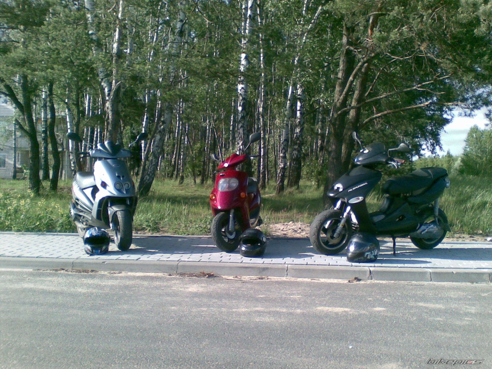 1998 MALAGUTI FIREFOX 50 F15 | Picture 1719502 motorcycle photo