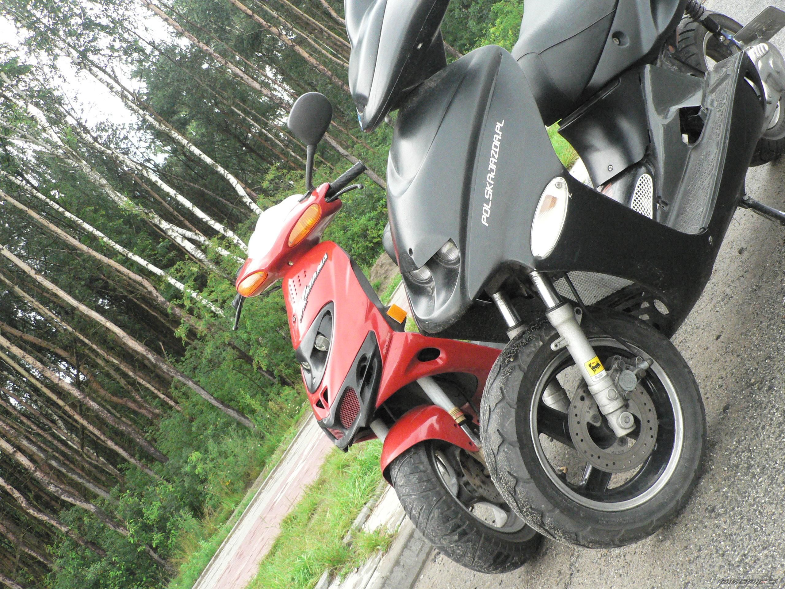 1998 MALAGUTI FIREFOX 50 F15 | Picture 1719507 motorcycle photo