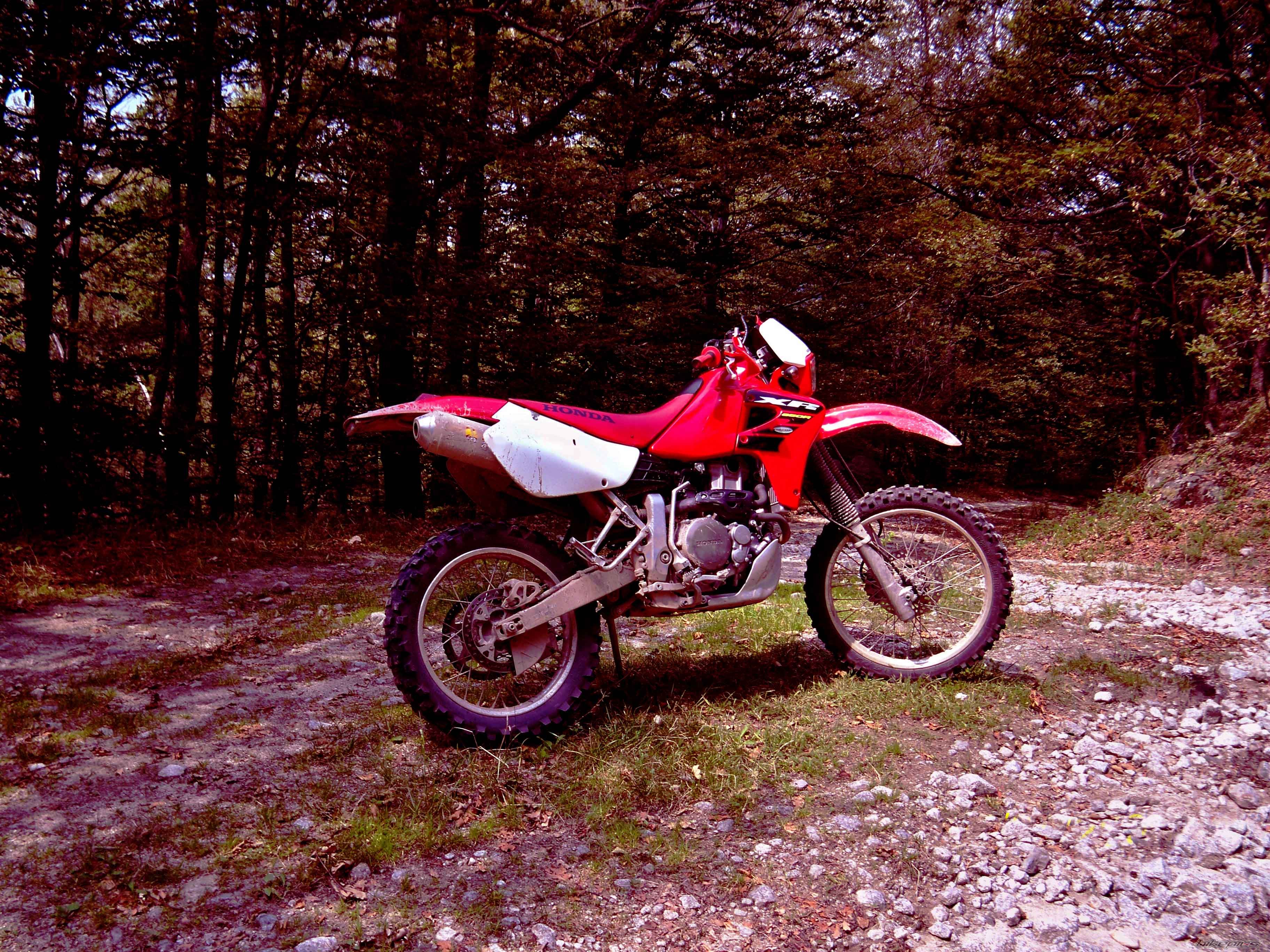 2005 HONDA XR 650 | Picture 1719815 motorcycle photo