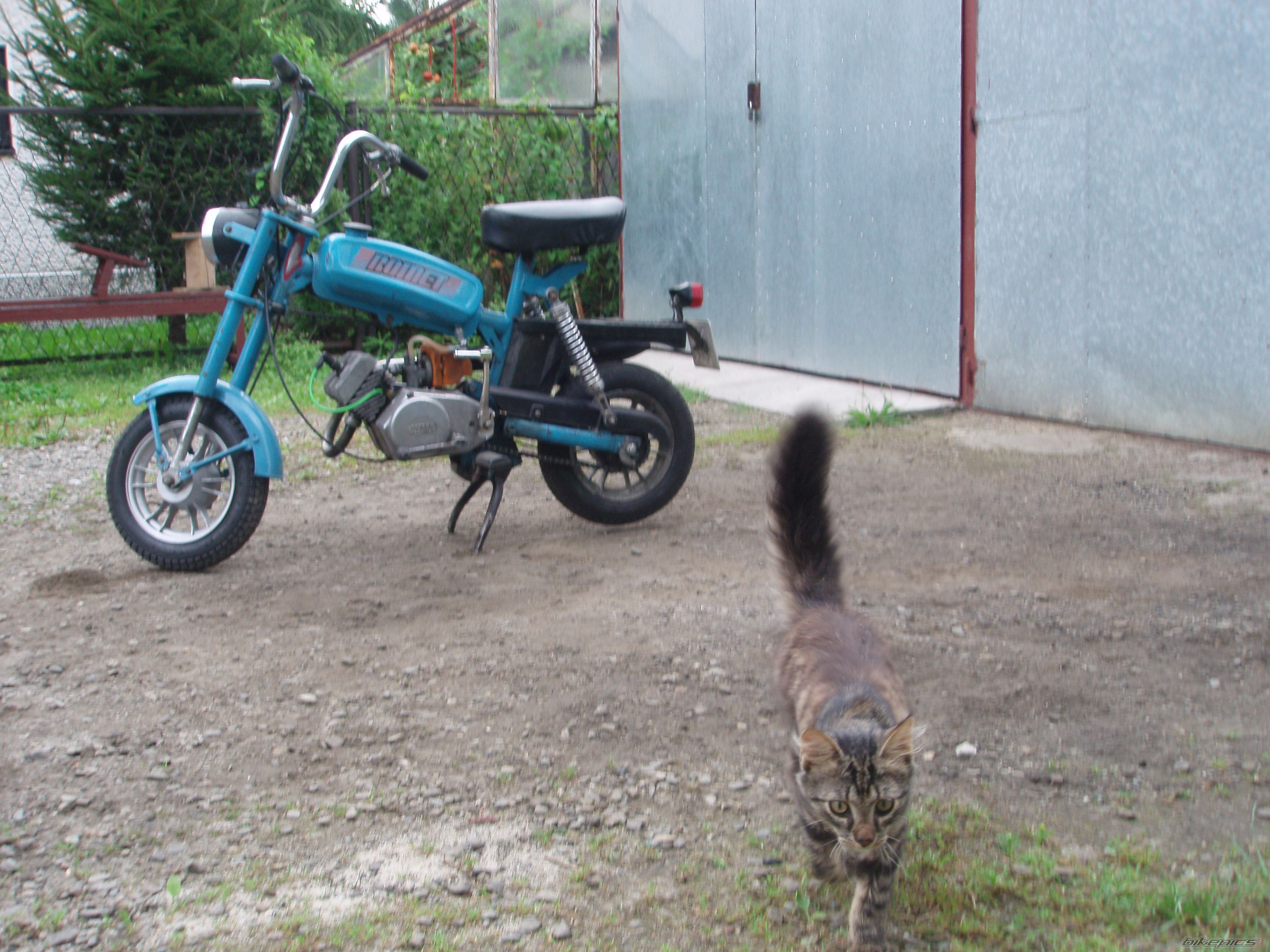 1990 ROMET PONY  M301 | Picture 1719925 motorcycle photo