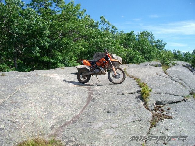 2007 KTM 300 MXC | Picture 1720070 motorcycle photo