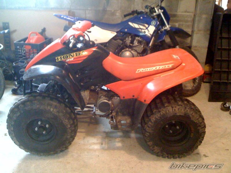 2001 HONDA FOURTRAX 90 | Picture 1720095 motorcycle photo