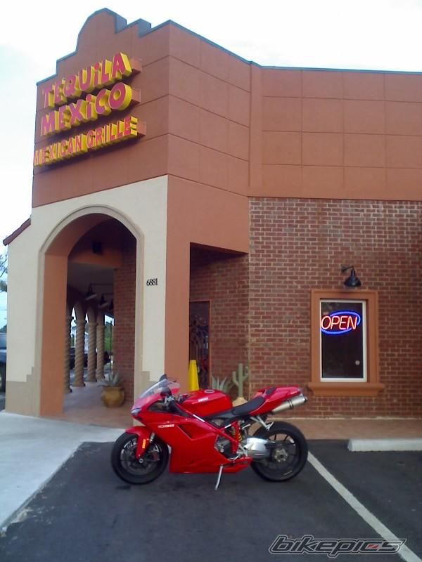 2008 DUCATI 1098 | Picture 1720560 motorcycle photo