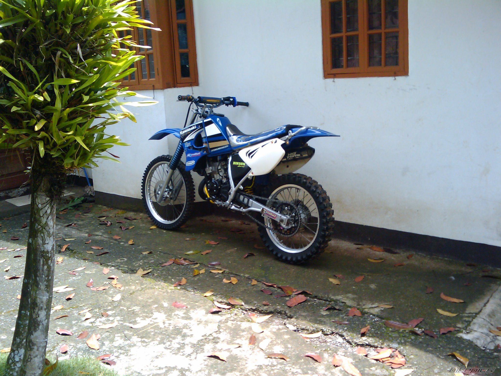 2008 KAWASAKI KMX 125 | Picture 1720948 motorcycle photo