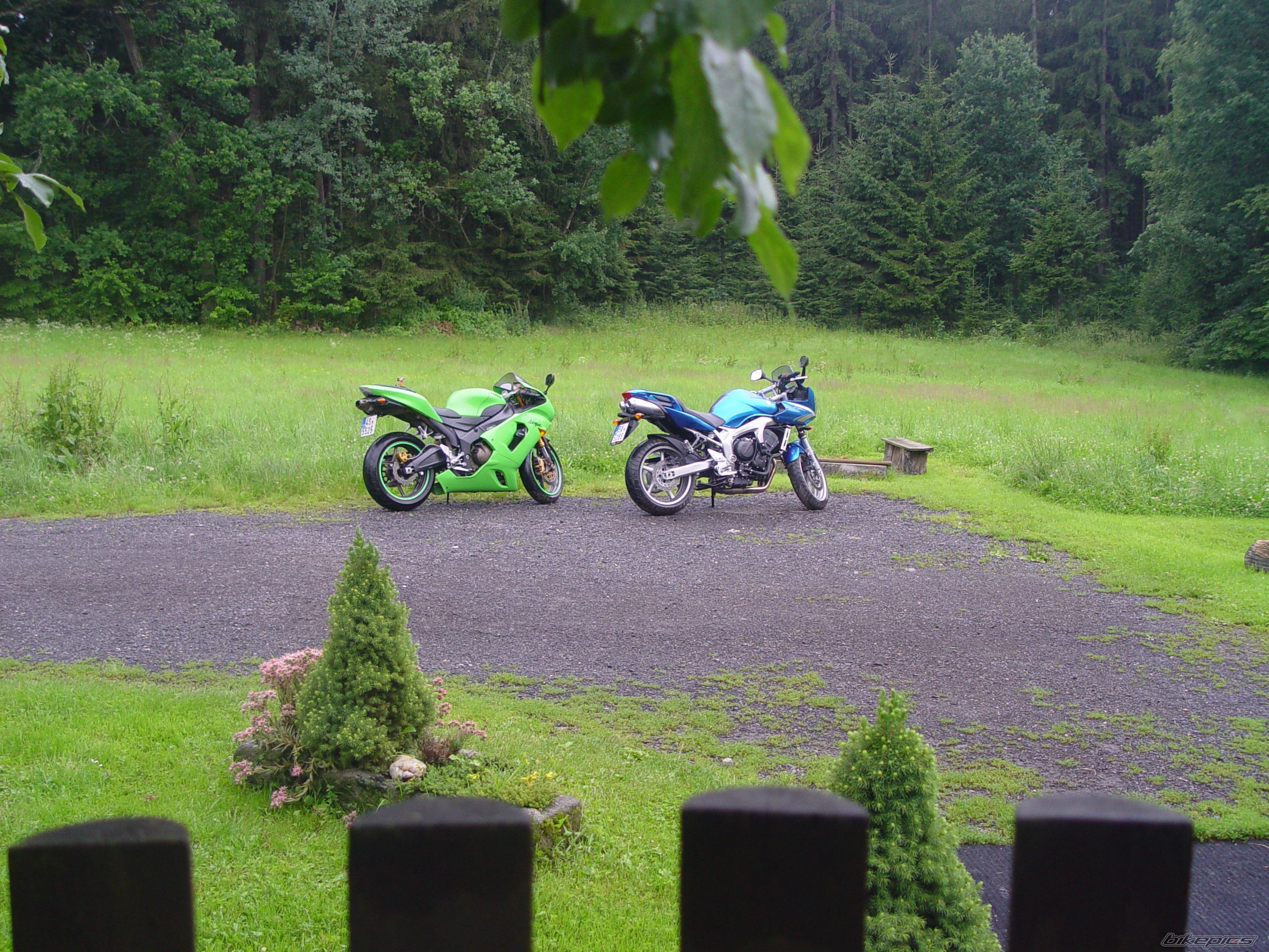 2009 YAMAHA FZ6S | Picture 1721301 motorcycle photo
