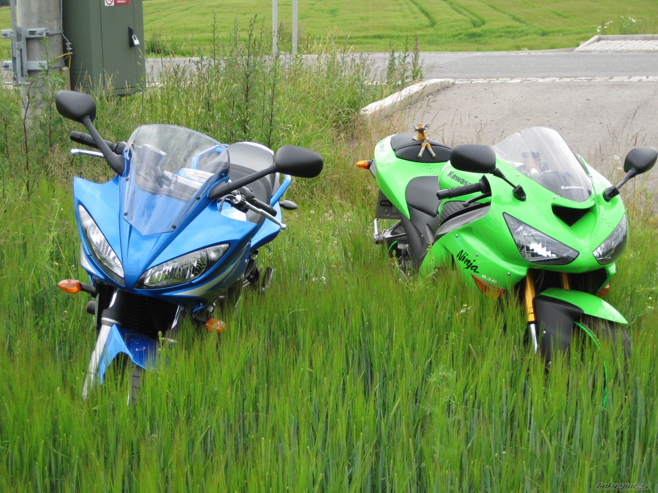 2009 YAMAHA FZ6S | Picture 1721303 motorcycle photo