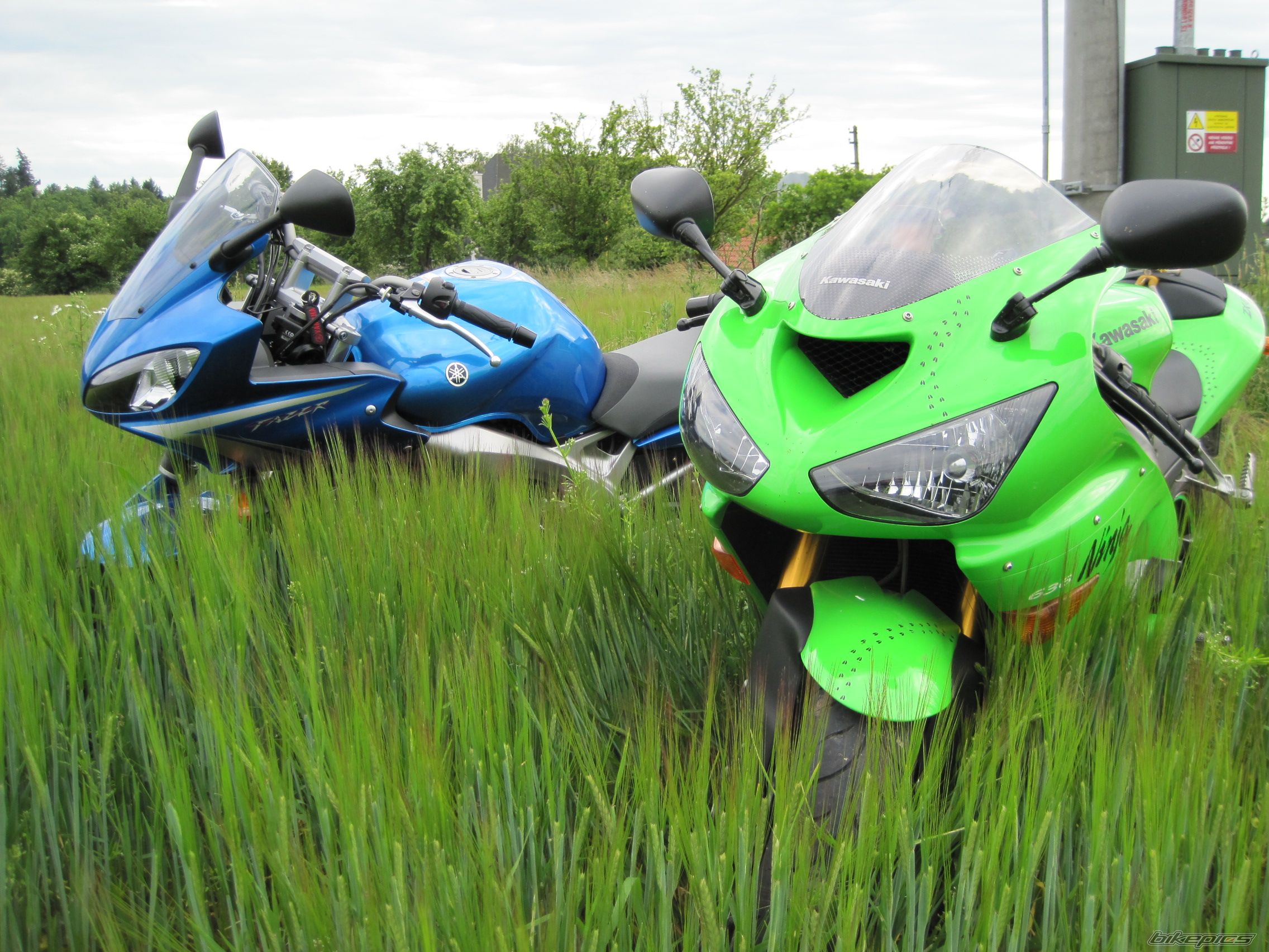 2009 YAMAHA FZ6S | Picture 1721306 motorcycle photo