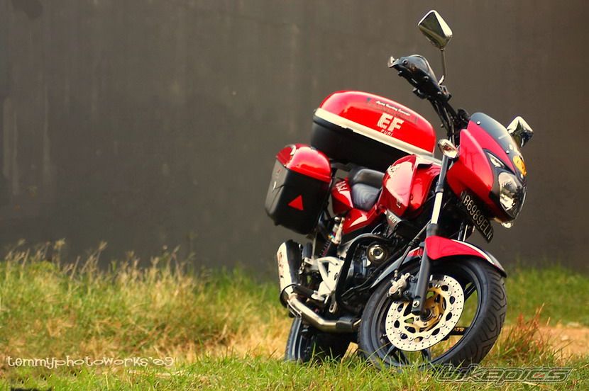 2008 BAJAJ PULSAR 200 | Picture 1721741 motorcycle photo