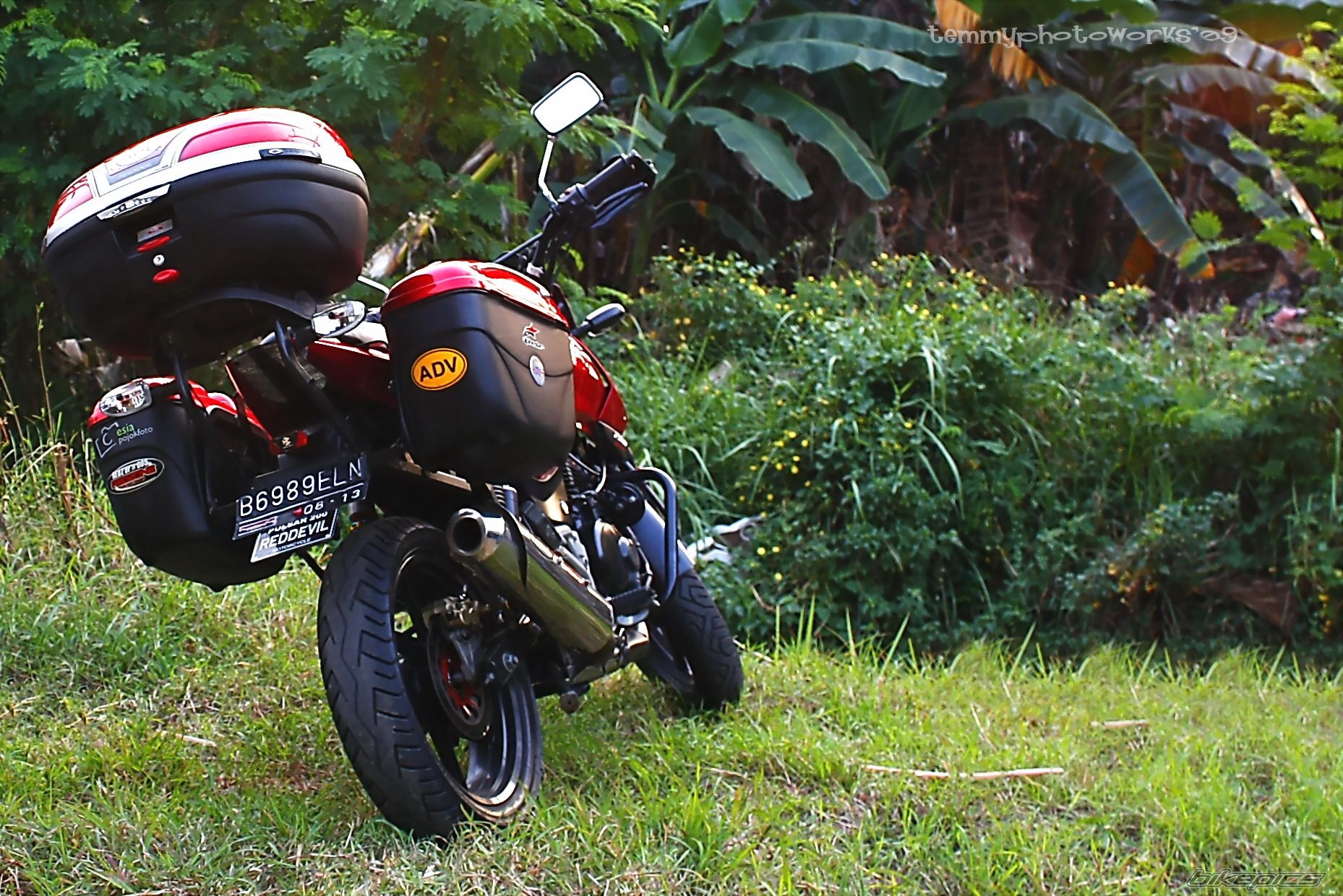 2008 BAJAJ PULSAR 200 | Picture 1721769 motorcycle photo