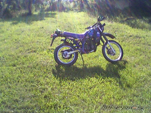 1994 YAMAHA DT 80 | Picture 1721882 motorcycle photo