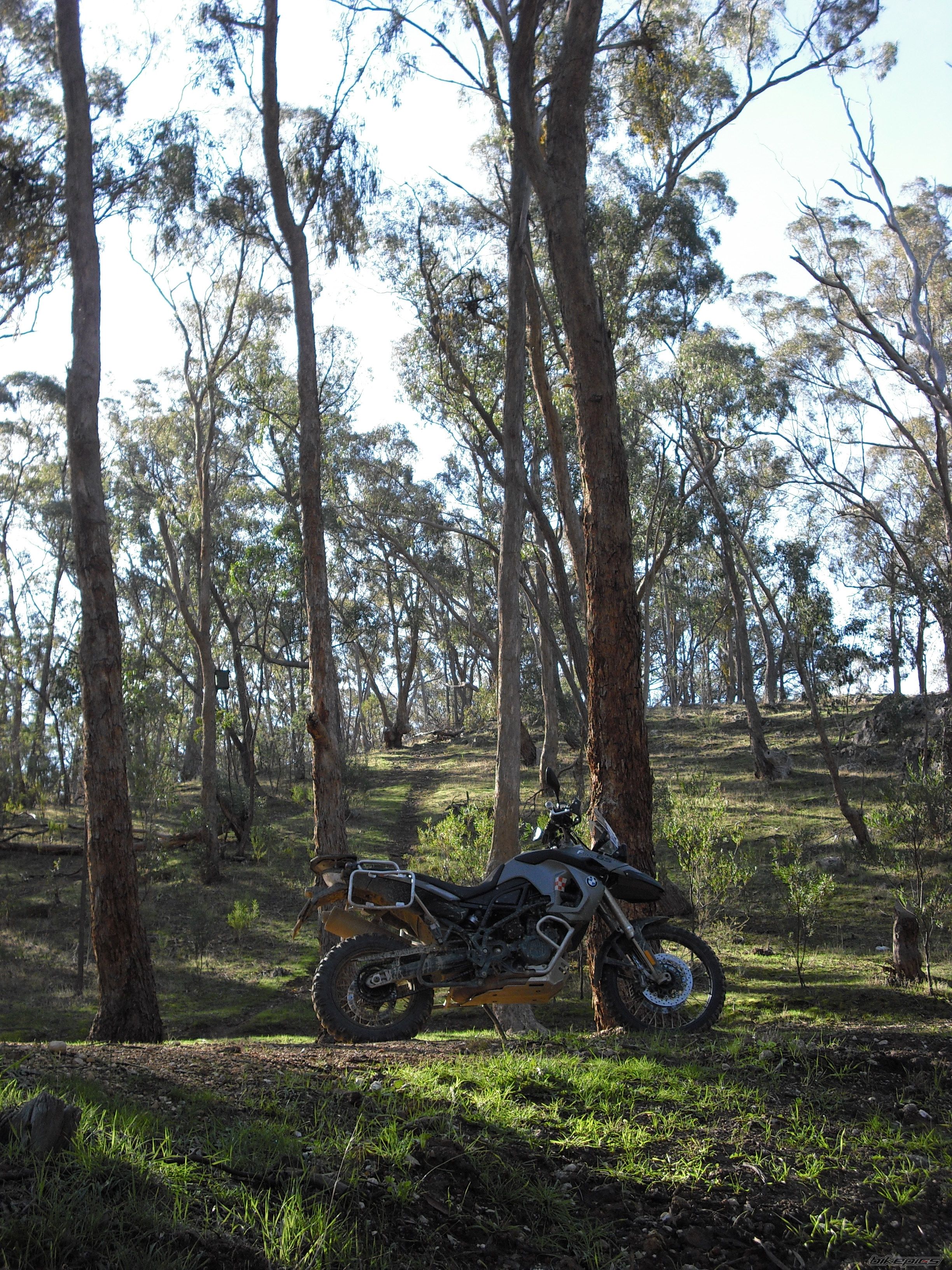 2009 BMW F800 GS | Picture 1721904 motorcycle photo