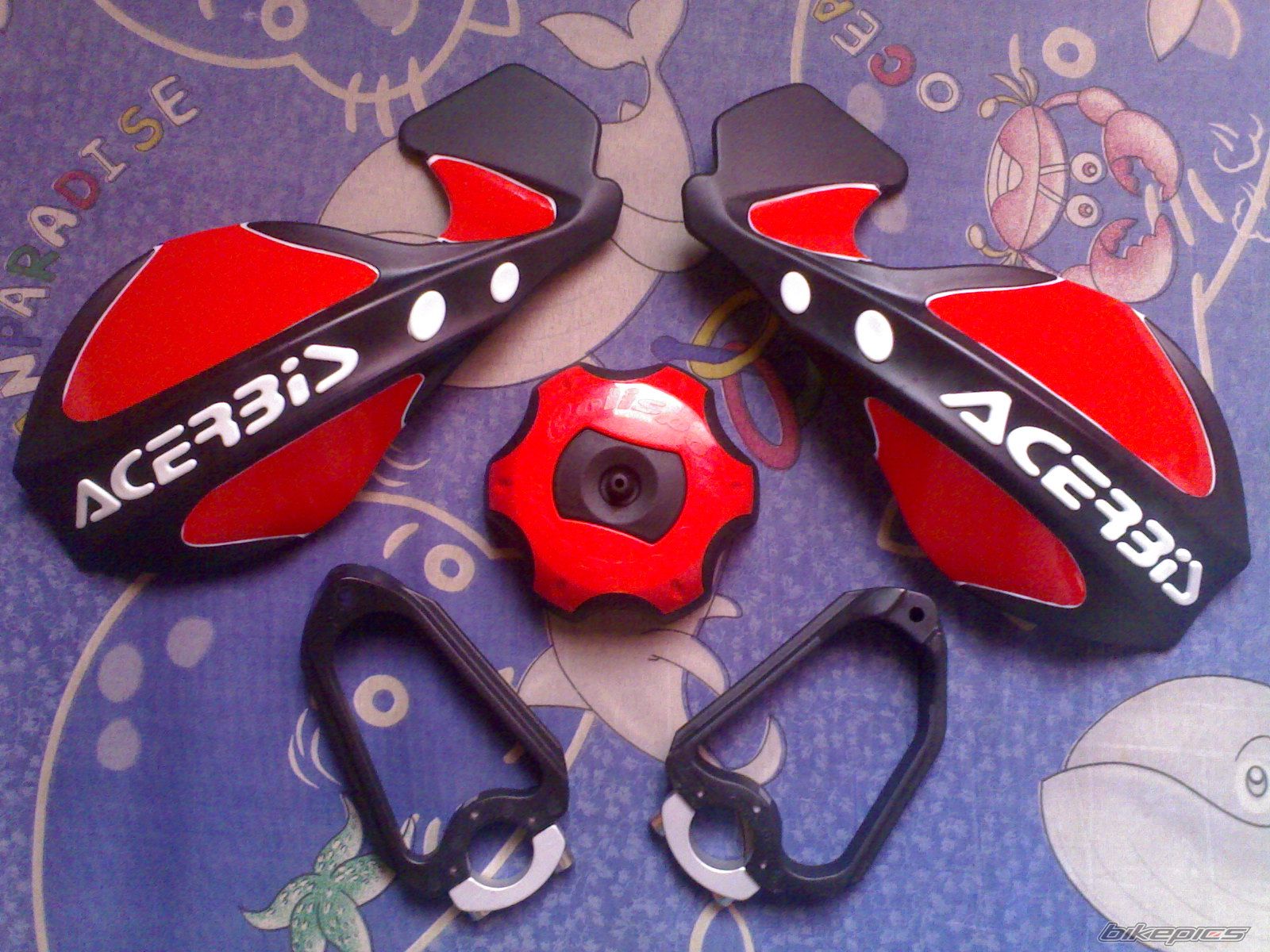 2010 HONDA XR 200 | Picture 1722103 motorcycle photo