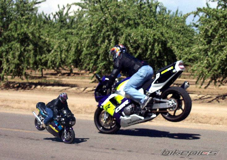 1996 SUZUKI GSX R 1100 | Picture 172224 motorcycle photo