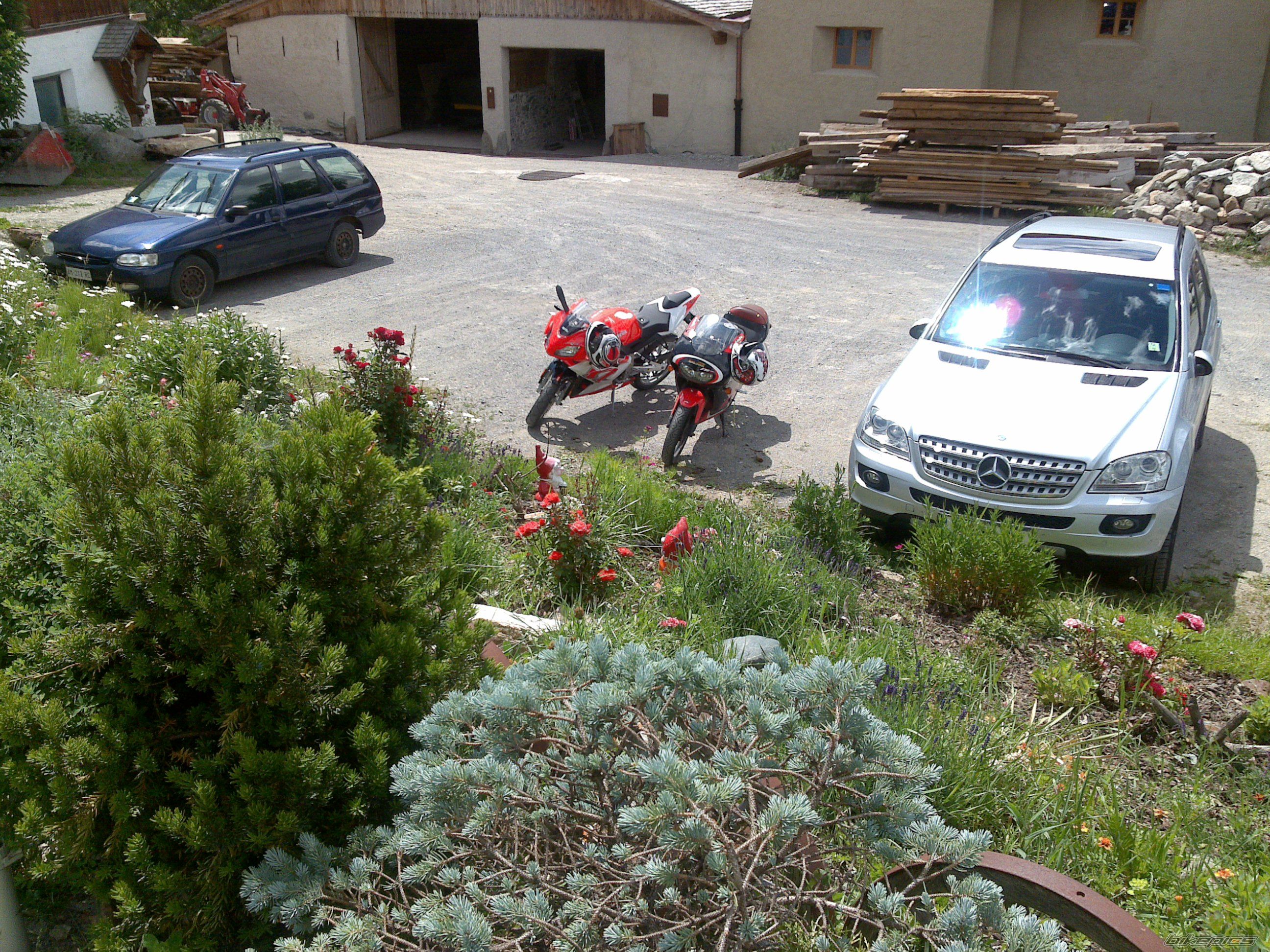 2010 APRILIA RS 50 | Picture 1722531 motorcycle photo