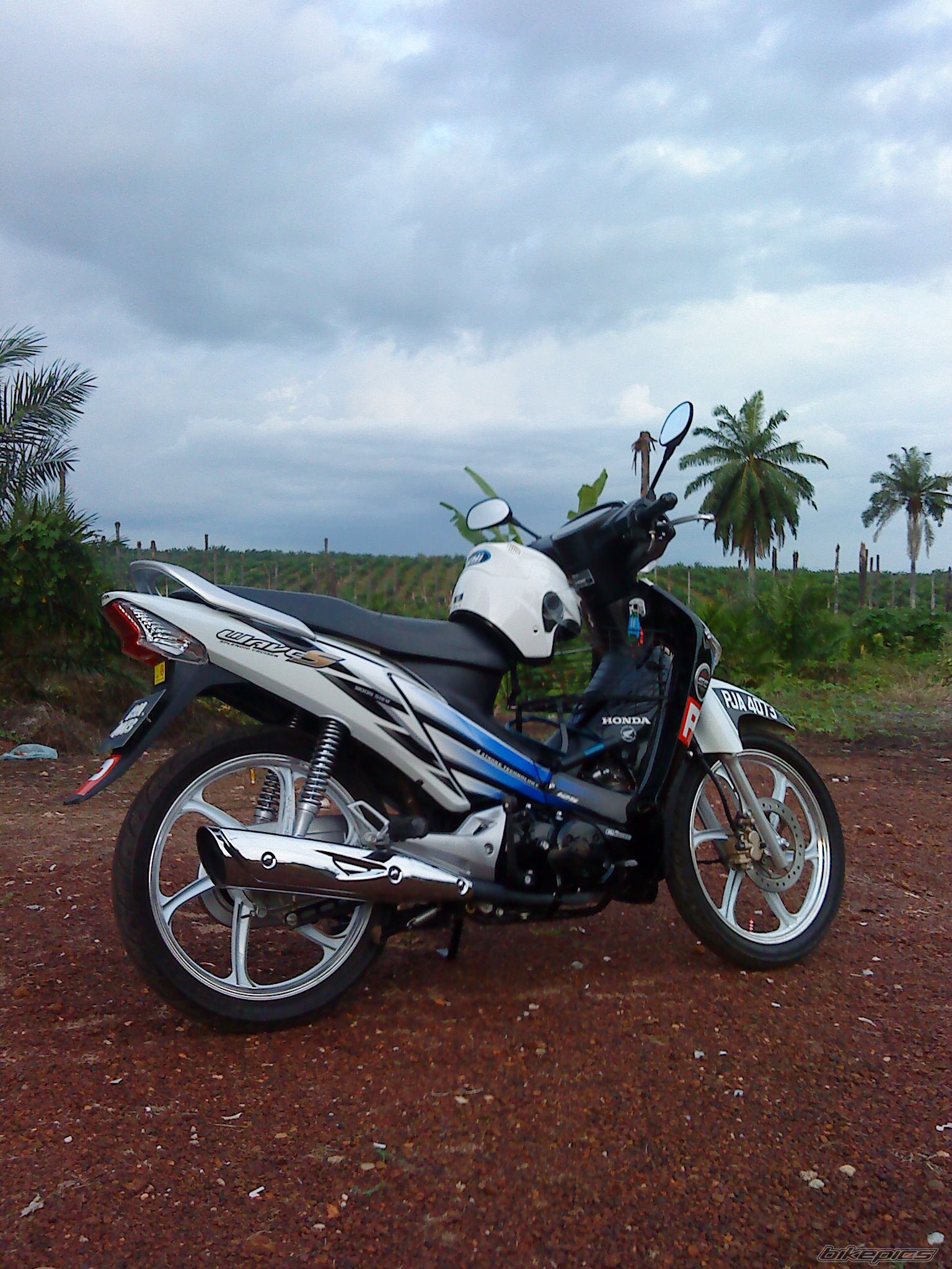 2008 HONDA WAVE 125 | Picture 1722599 motorcycle photo