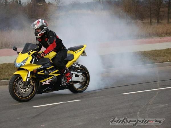 2002 HONDA CBR 900 | Picture 1722647 motorcycle photo