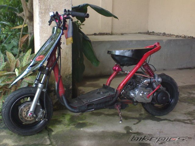 2009 HONDA DIO 50 | Picture 1723068 motorcycle photo