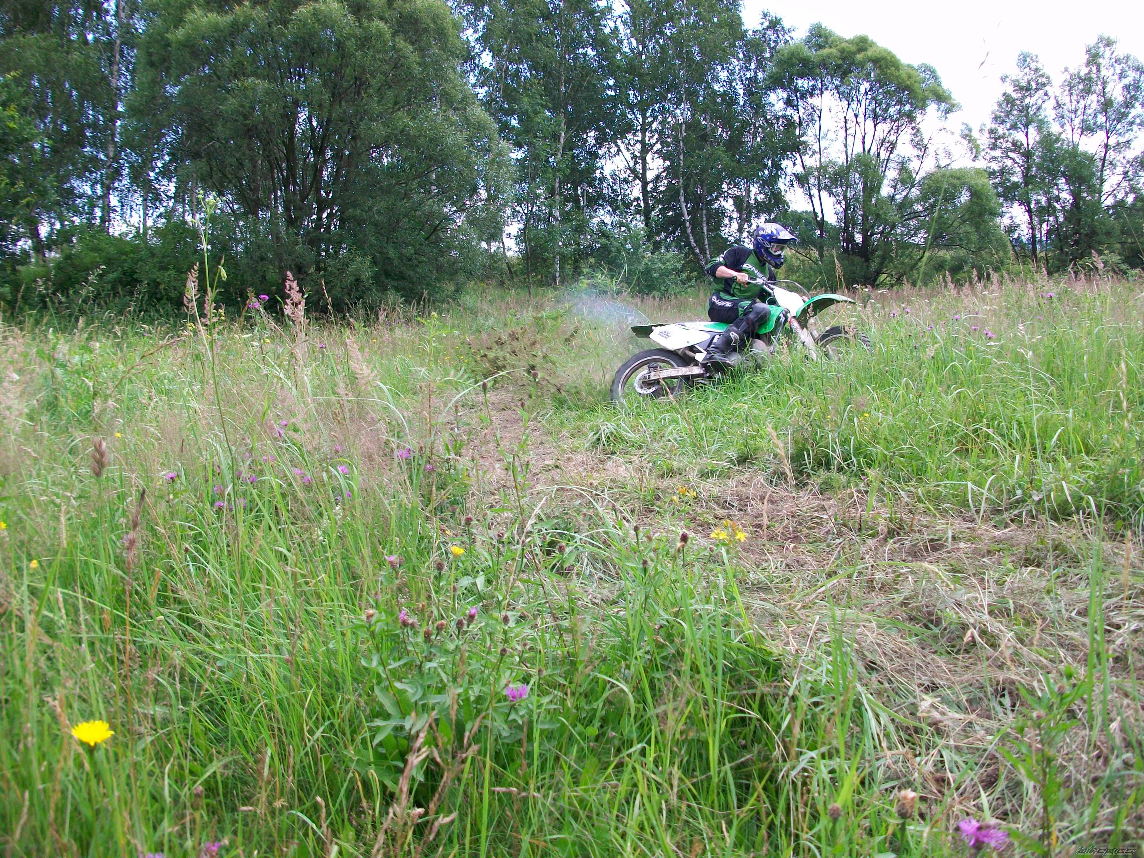 1997 KAWASAKI KX 250 | Picture 1723371 motorcycle photo