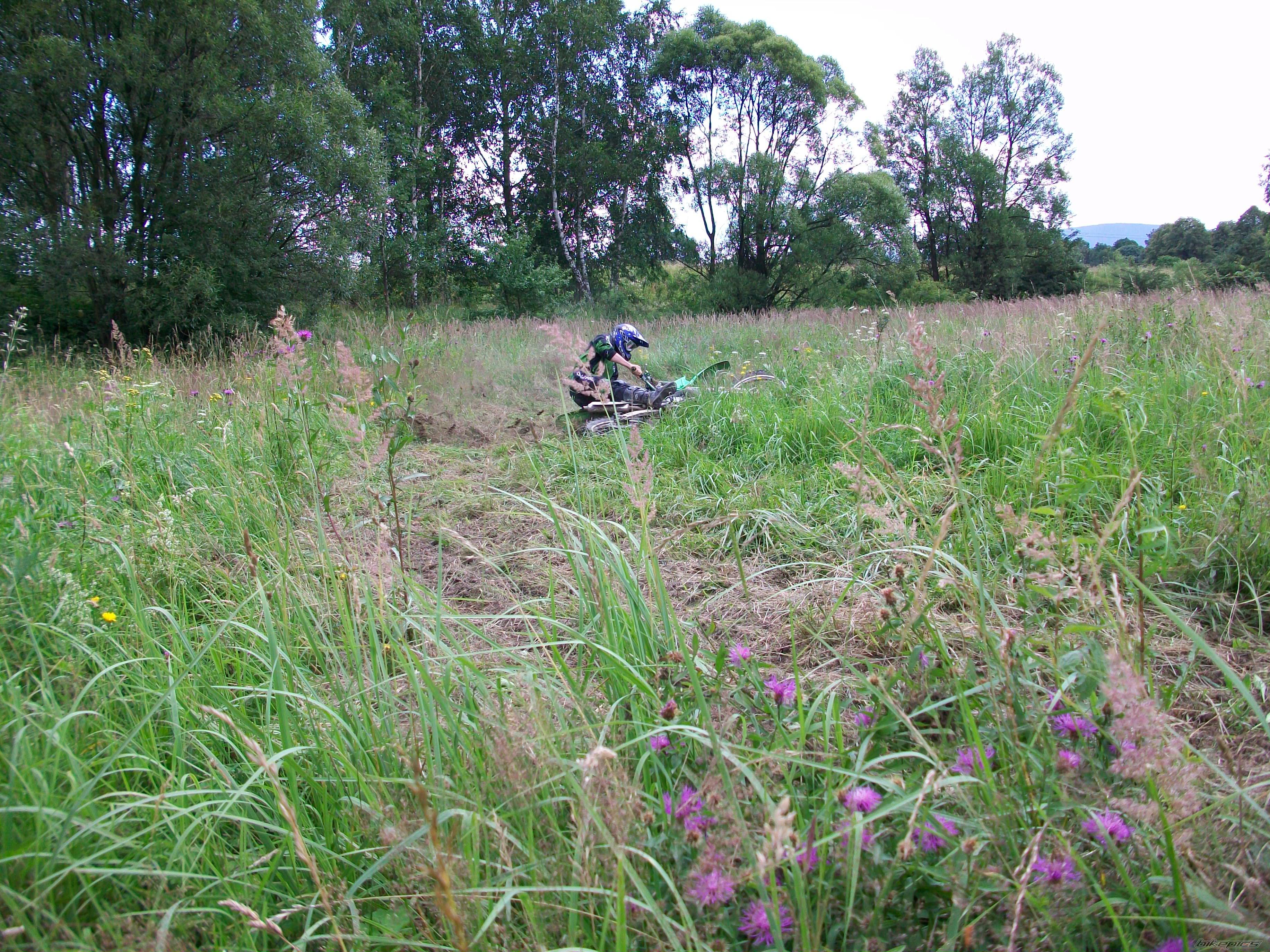 1997 KAWASAKI KX 250 | Picture 1723373 motorcycle photo