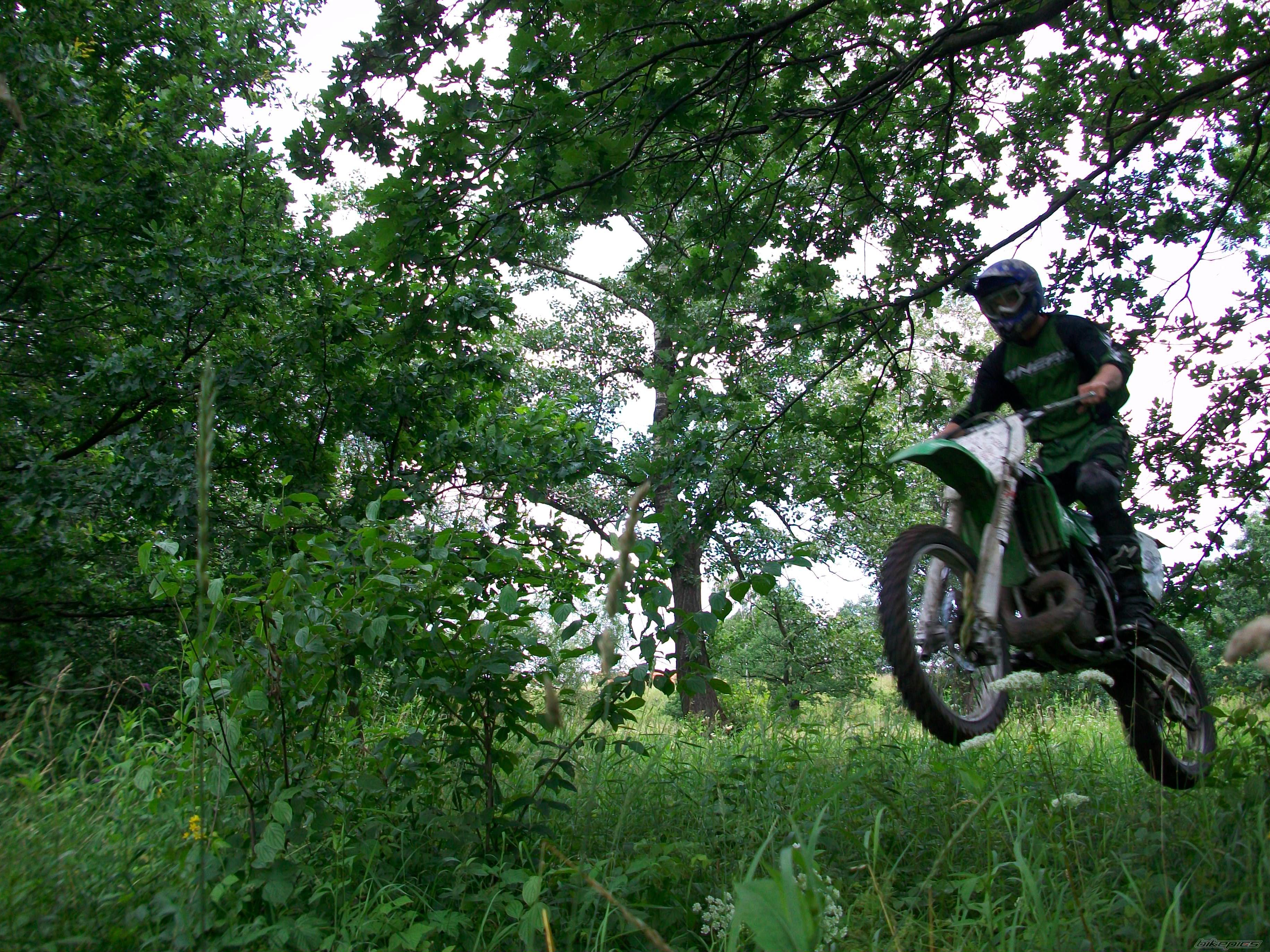 1997 KAWASAKI KX 250 | Picture 1723403 motorcycle photo