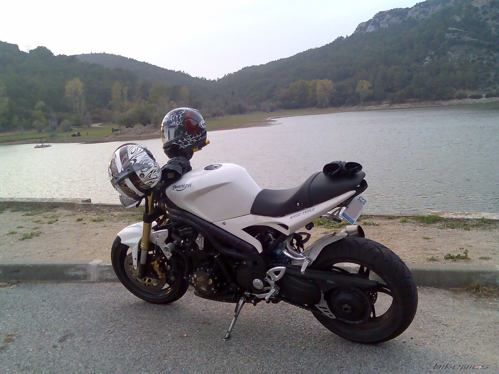 2005 TRIUMPH SPEED TRIPLE | Picture 1723418 motorcycle photo