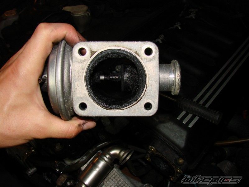    | Picture 1723557 motorcycle photo