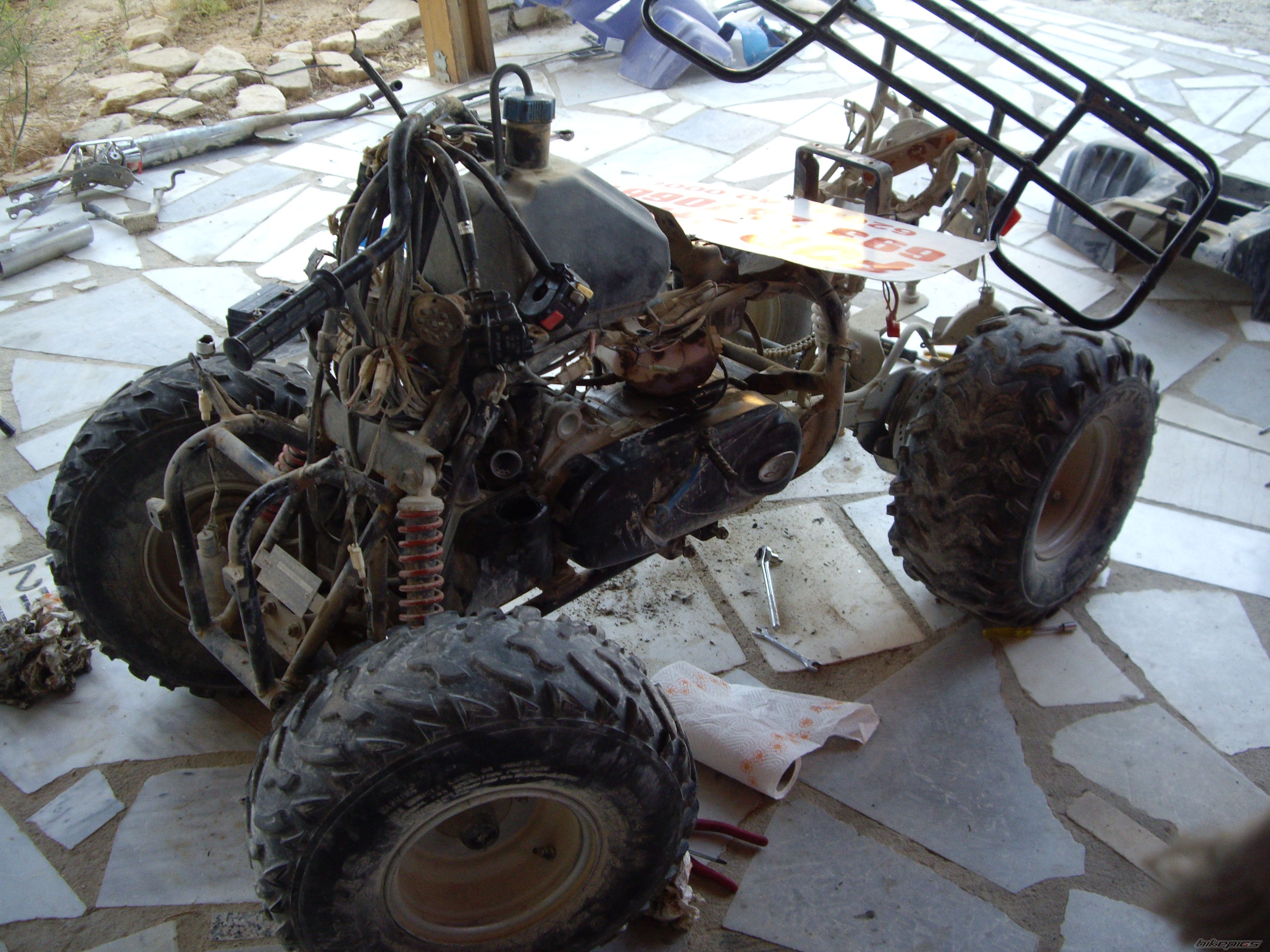    | Picture 1723847 motorcycle photo