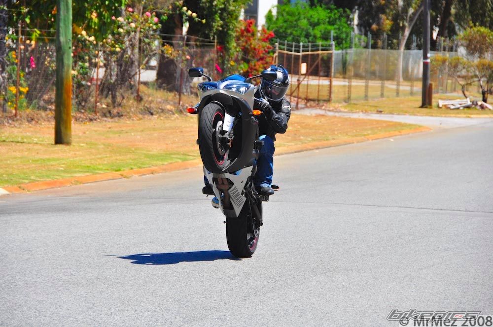 2003 YAMAHA YZF R1 | Picture 1724631 motorcycle photo
