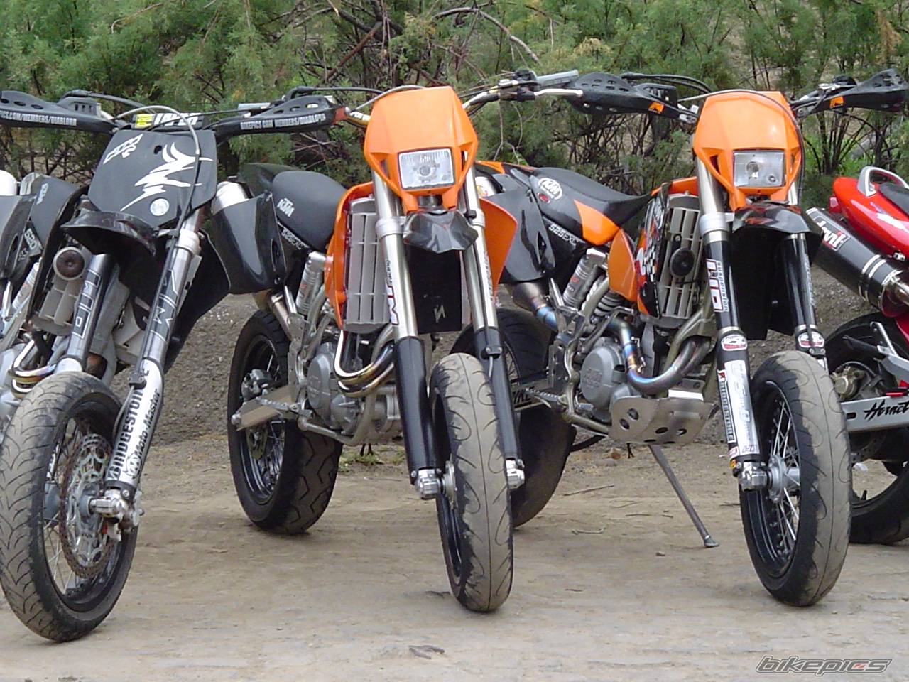 2003 KTM 525 EXC | Picture 172470 motorcycle photo