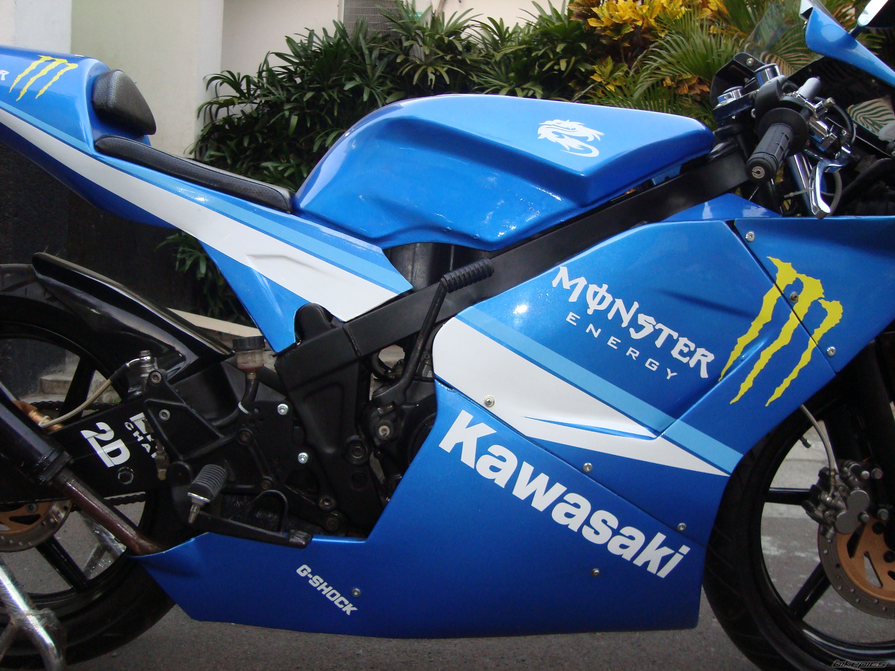    | Picture 1726014 motorcycle photo