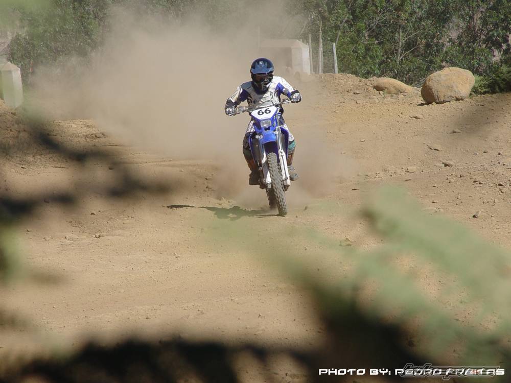 2003 YAMAHA WR 250F | Picture 172630 motorcycle photo