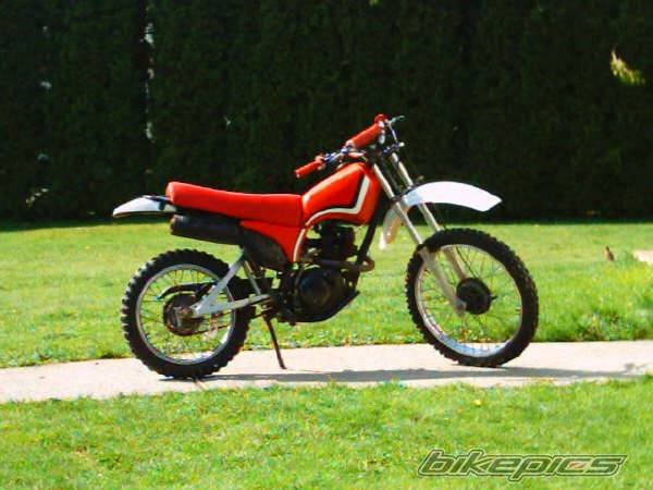 1984 YAMAHA XT 200 | Picture 172635 motorcycle photo