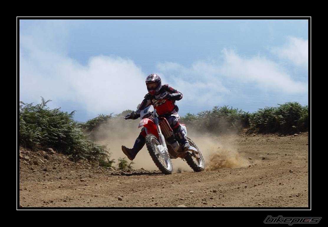 2003 HONDA CRF 450 | Picture 172638 motorcycle photo