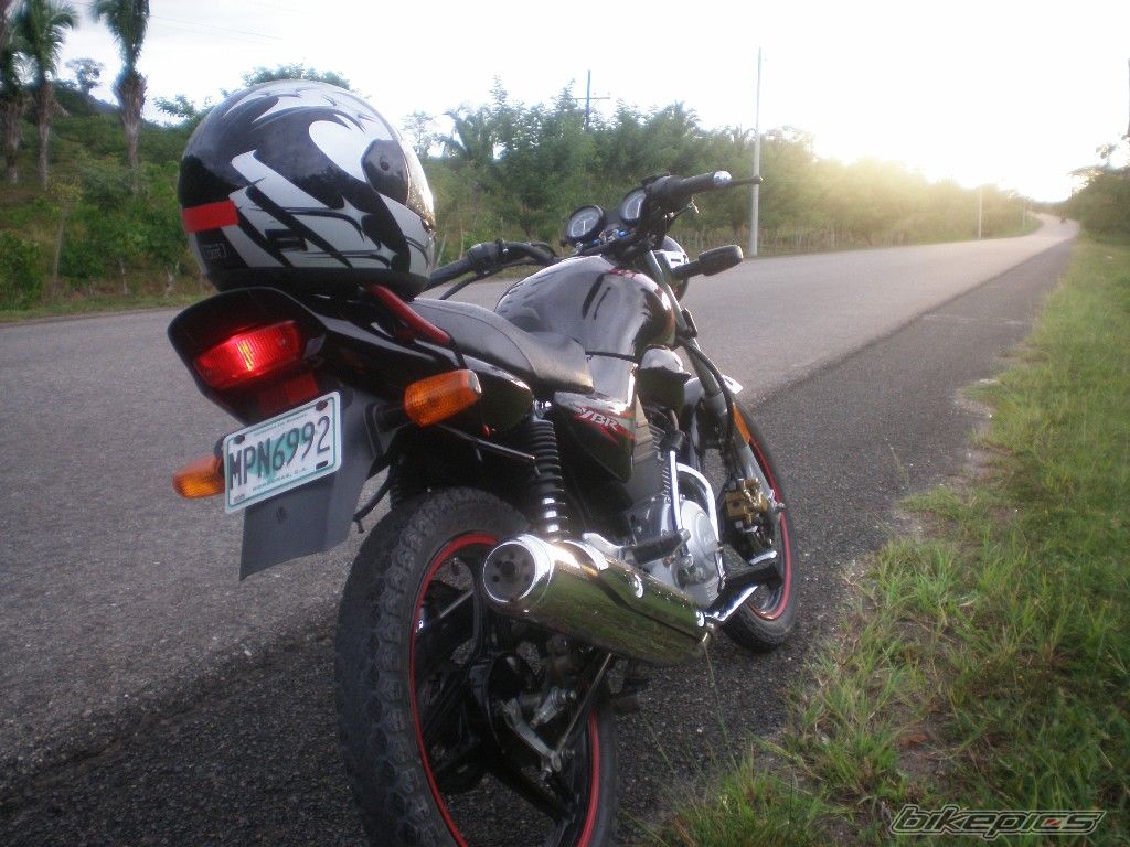 2008 YAMAHA YBR 125 | Picture 1726463 motorcycle photo