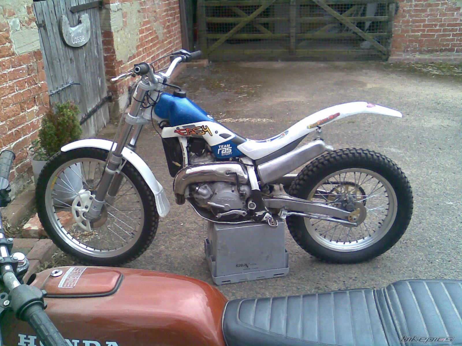 1998 SCORPA EASY 280 | Picture 1726705 motorcycle photo