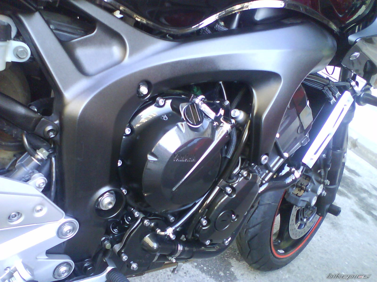 2008 YAMAHA FZ6 FAZER | Picture 1726709 motorcycle photo