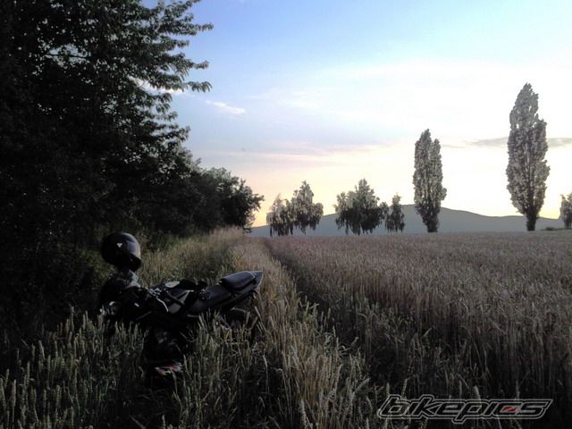 2005 HONDA CBR 125 | Picture 1726722 motorcycle photo