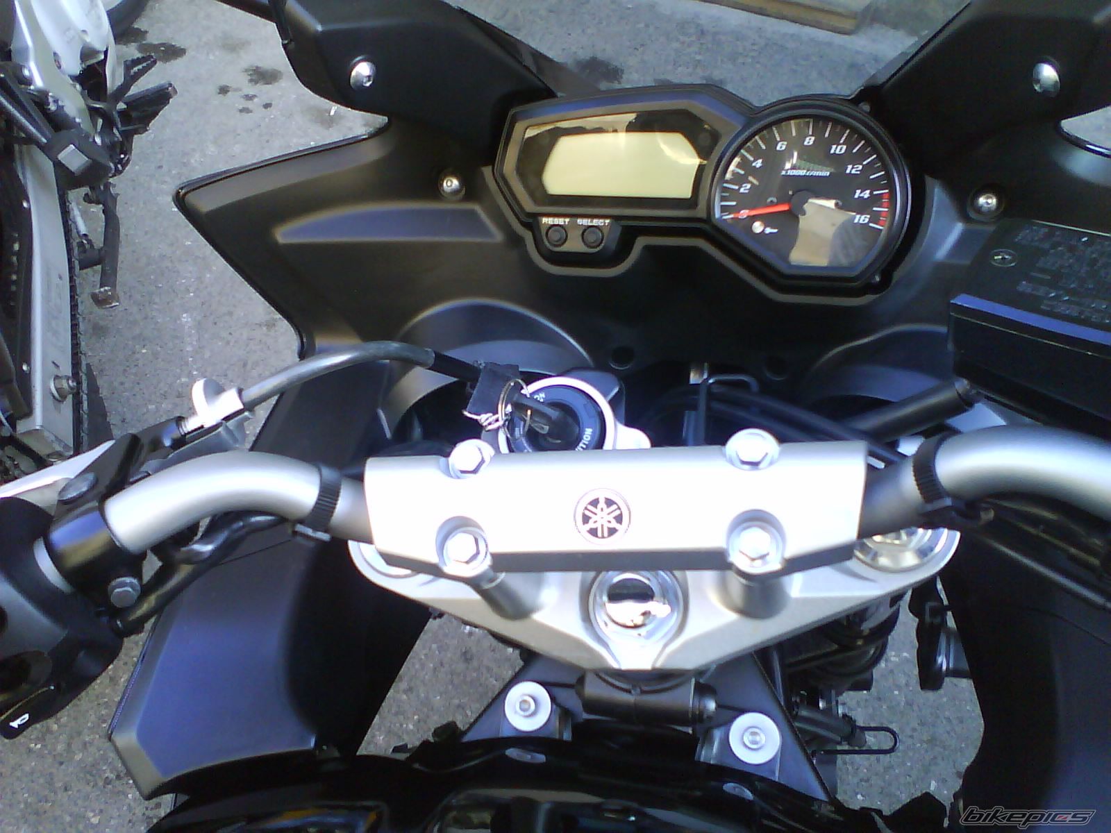 2008 YAMAHA FZ6 FAZER | Picture 1726726 motorcycle photo